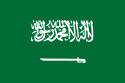La nuova Arabia saudita