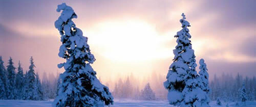 Numero 51 – 1 Dicembre 2008 – Fiocchi di neve